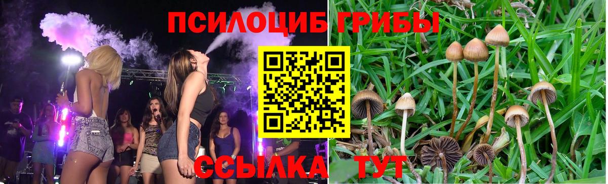 Галлюциногенные грибы ЛСД Артёмовский